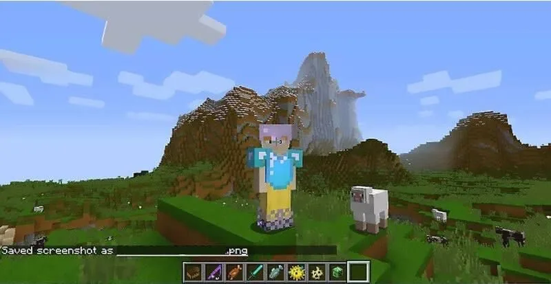 Mine Craft