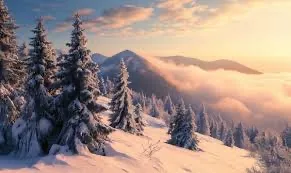 The Winter